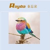 女人​​​的颜色电视剧全集在线观看指南