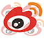 果蝇幼虫图片​⁠‍微观世界中的生命​​​奇迹